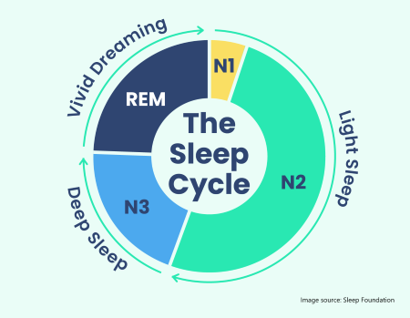 Circle graph showing the four parts of the sleep cycle